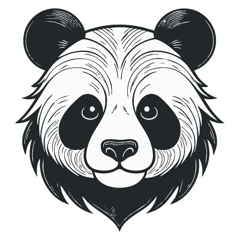 Illustration de panda avec une expression ludique