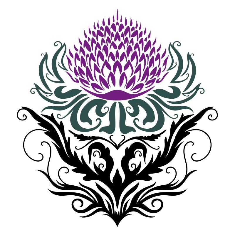 Chardon pourpre Chardon