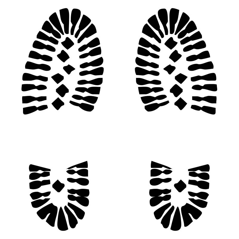Footprints (V)