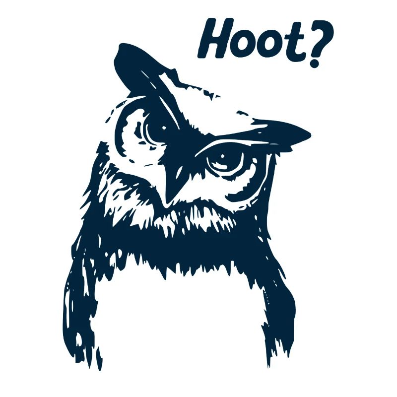 Hoot Eule