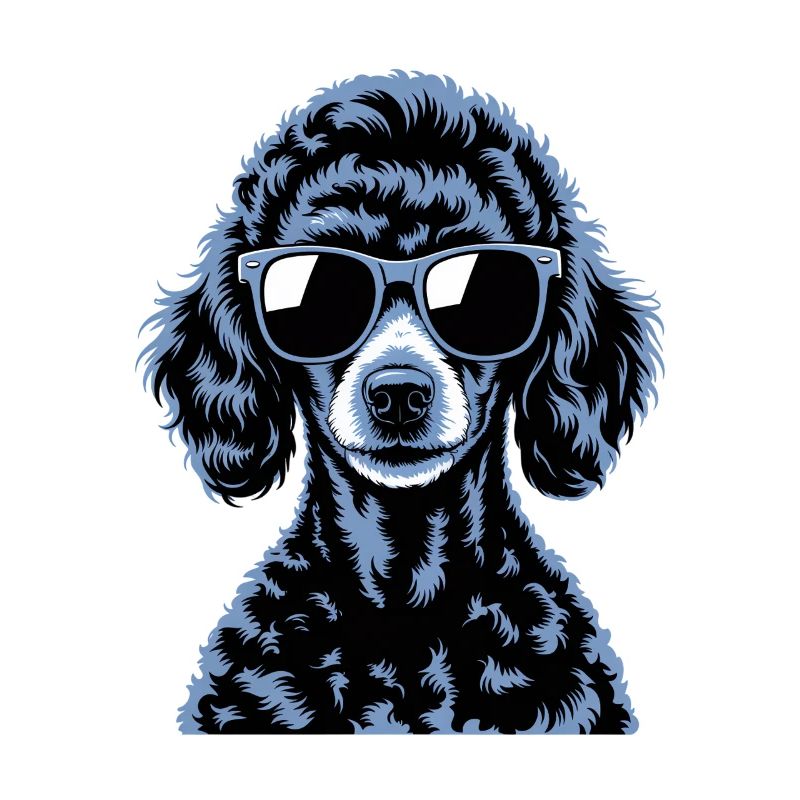 Caniche noir