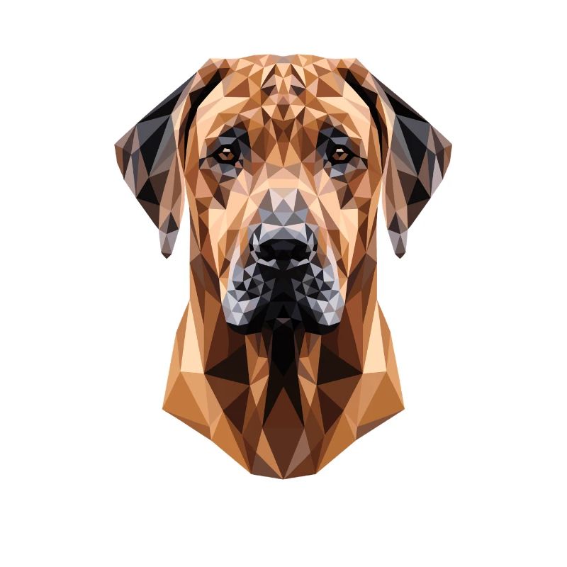 Rhodesian Ridgeback Jagdhund Hunde Stolz Ridgeback