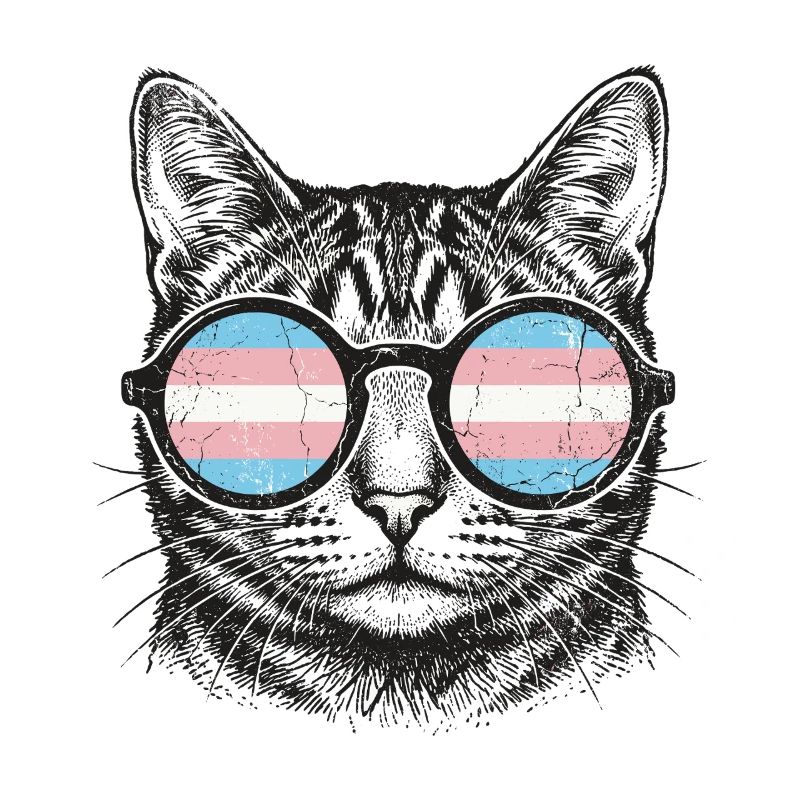 LGBT-Pride-Monat – Trans-Pride-Katze