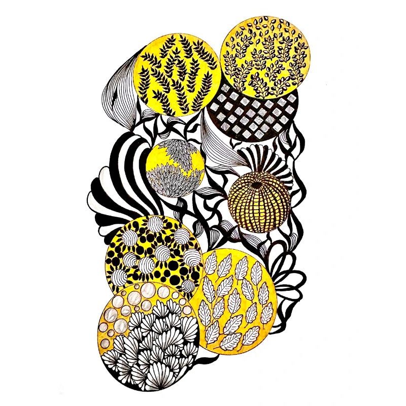 Luminous Circle Patterns Botany