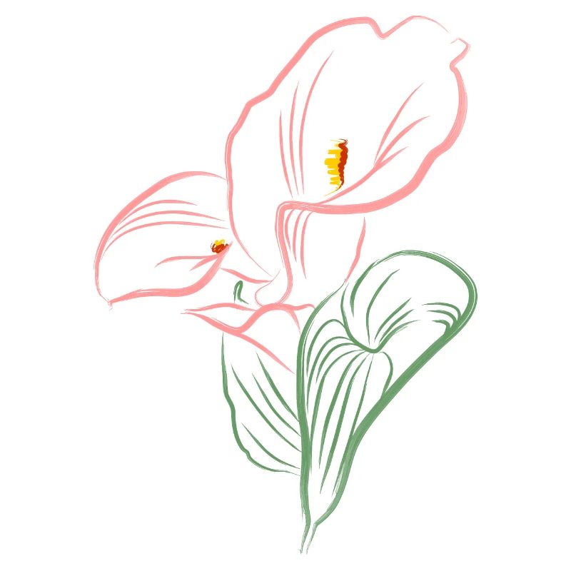CALLA SoftPink