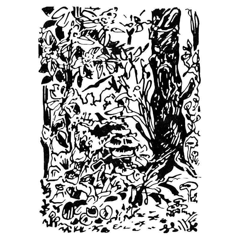FORÊT ENCHANTÉE