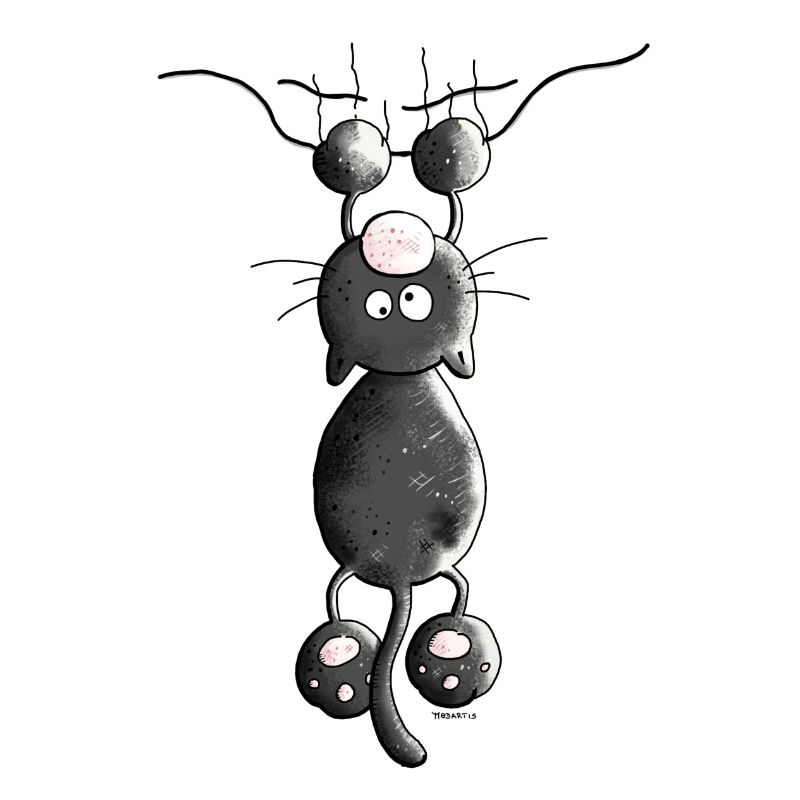 Crazy Cat - Cats - Kitten