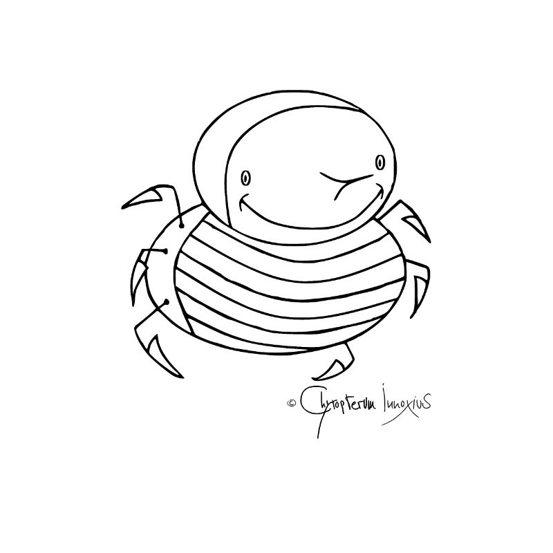 Stingbug - Coleopter Aculaeus