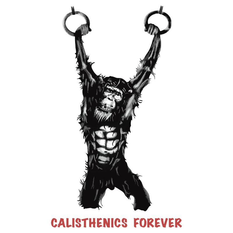 Calisthenics Evolution - Gymnastics Rings