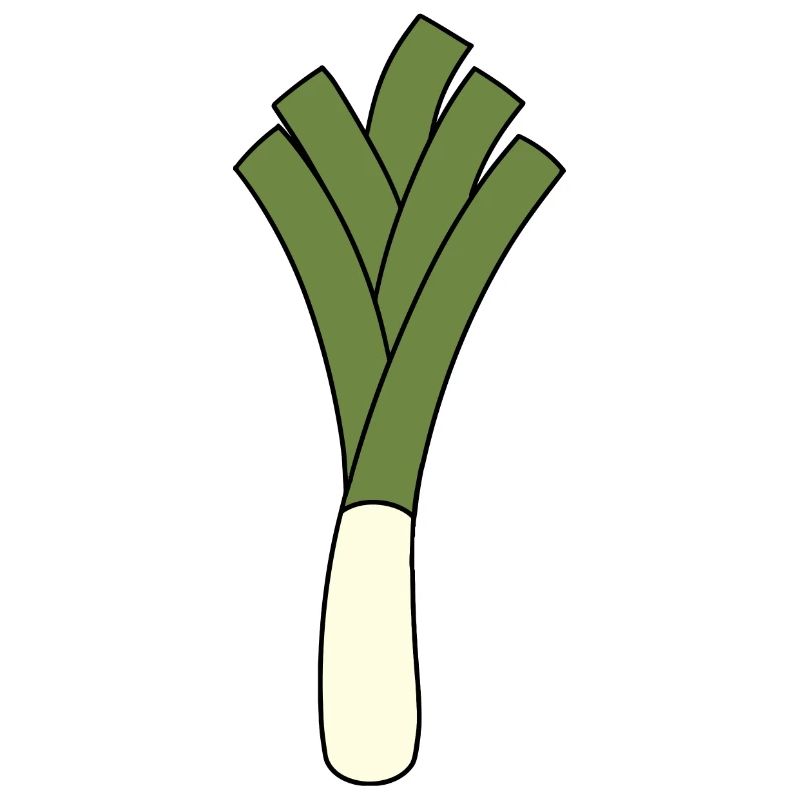 Lauch