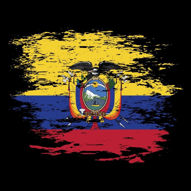 Ecuador flag used