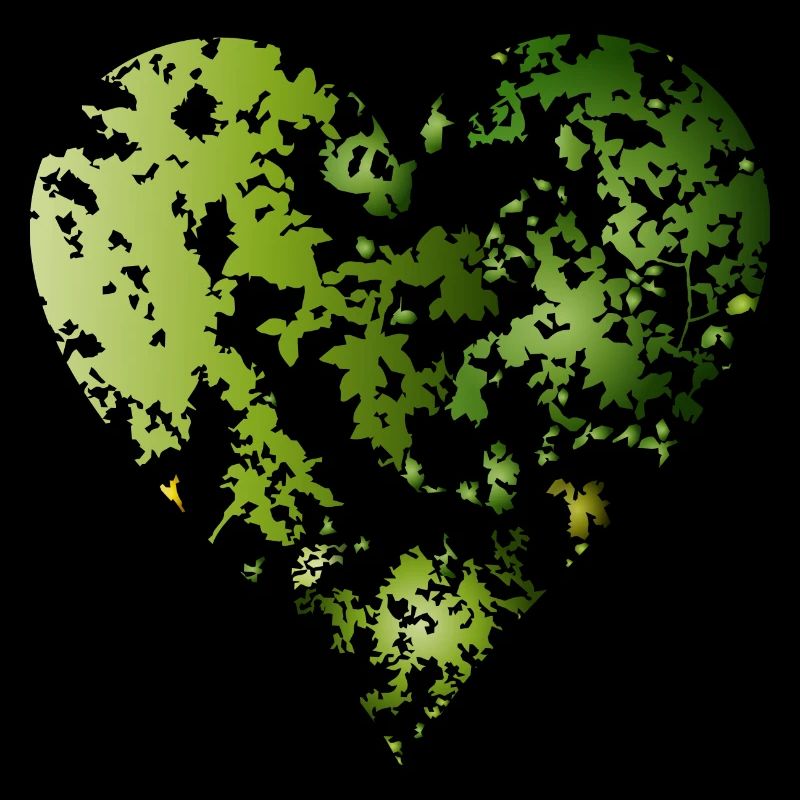 canopée verte d’une forêt en forme de cœur