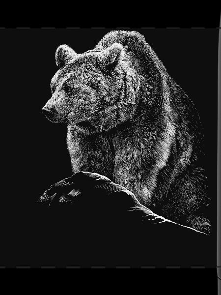 Bär