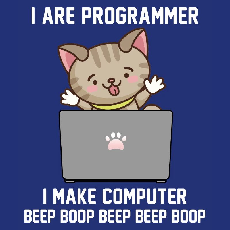 Programmer