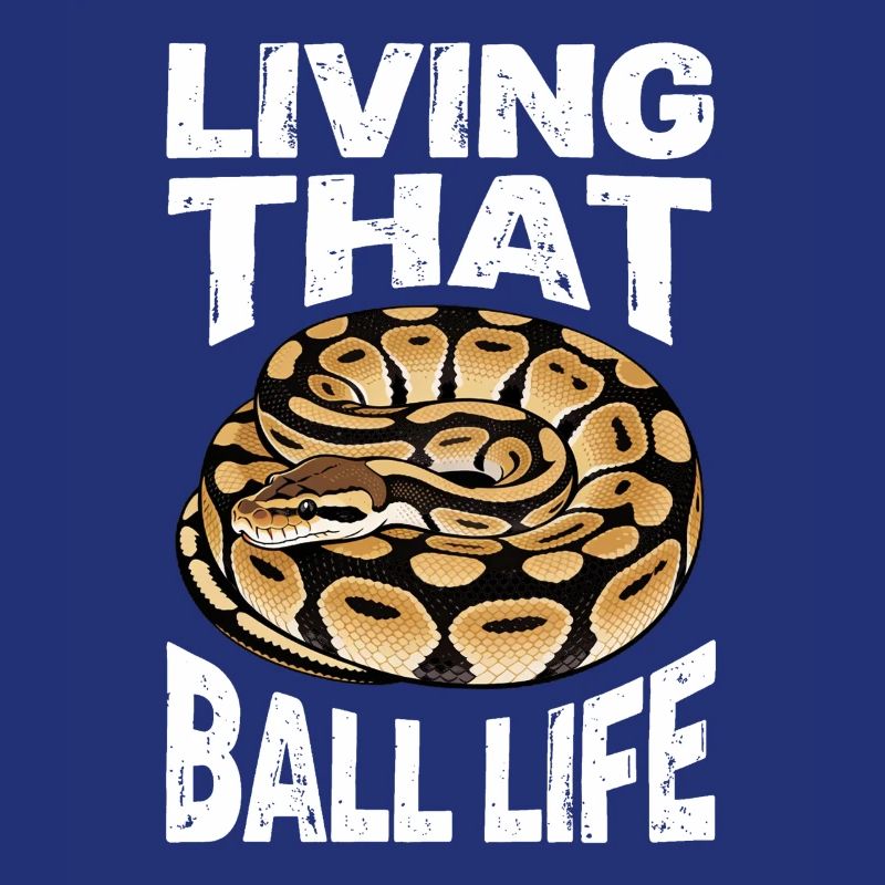 Königspython Schlangen Liebhaber Terrarium Python