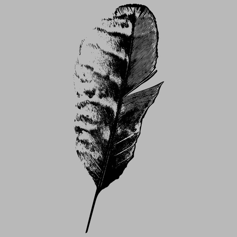 Plume d’écriture