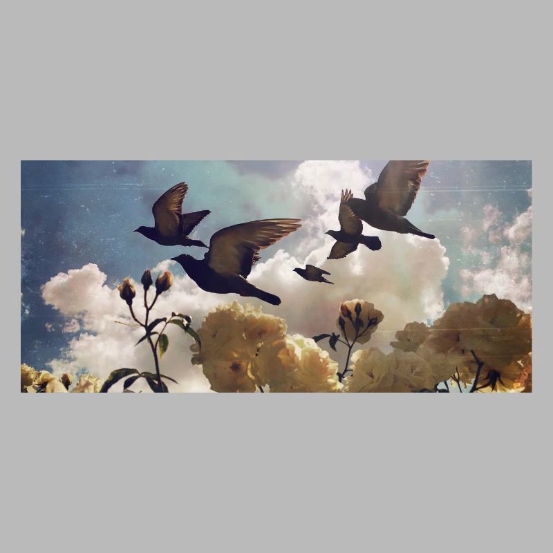 Migration des oiseaux sur les pétales de rose