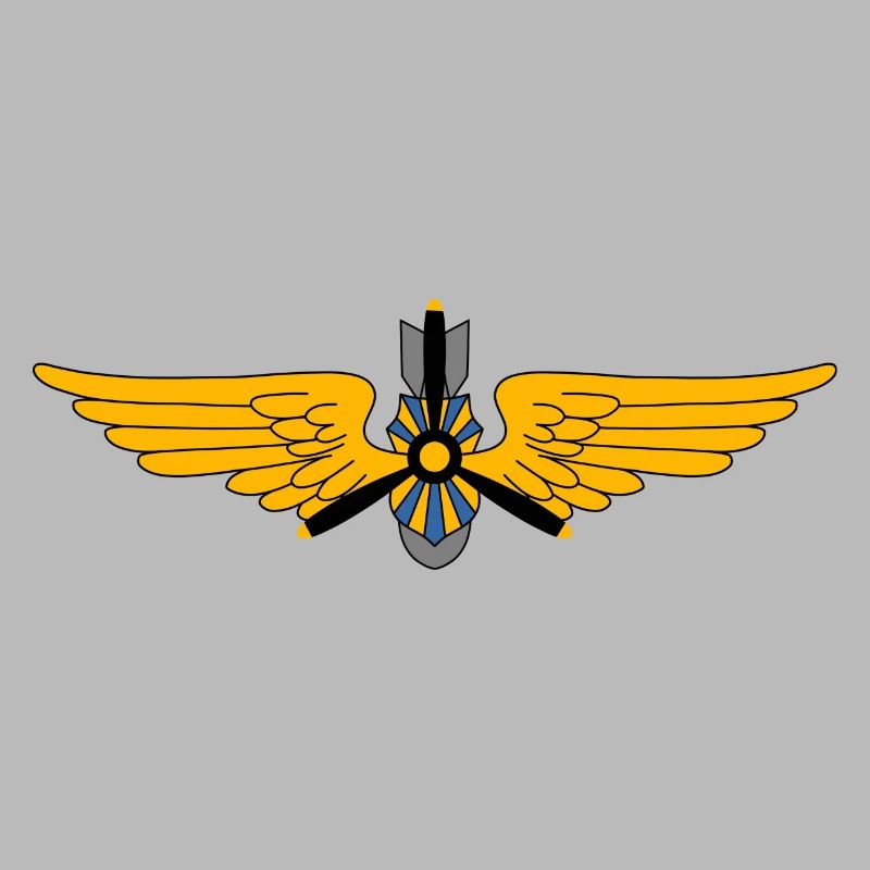 Pilote militaire