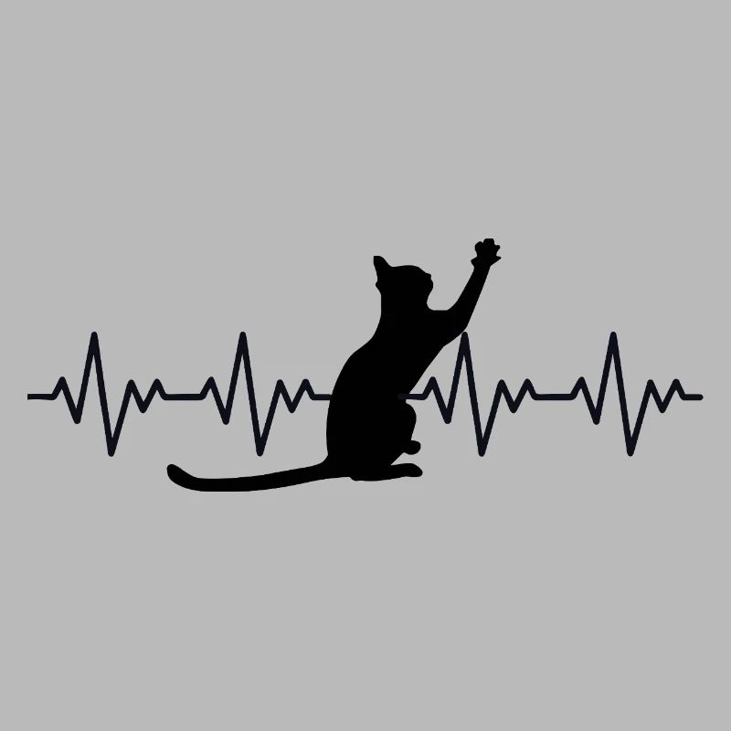 Katze EKG Herzfrequenz Herzschlag