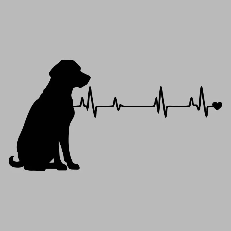 Hund