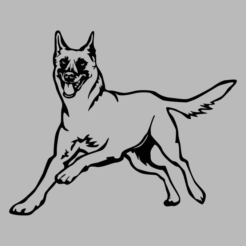 Malinois