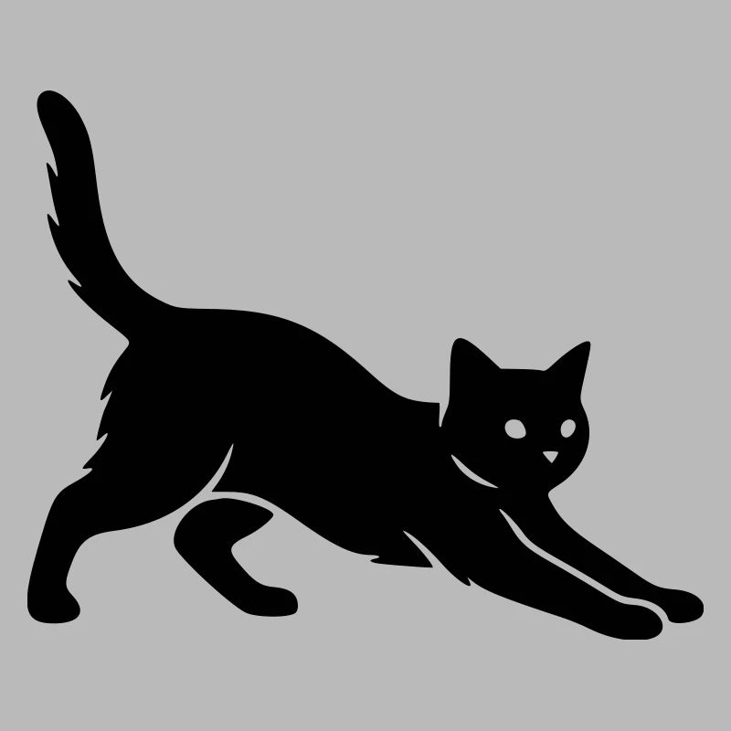 chat