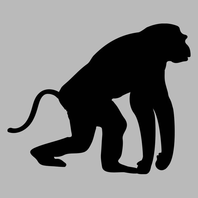 Singe