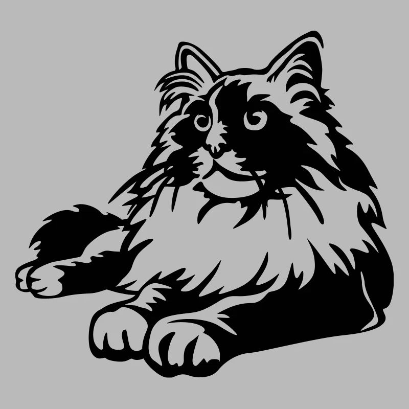 Chat Ragdoll