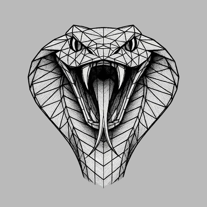 Geometric Cobra Head
