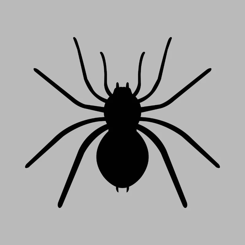 spider