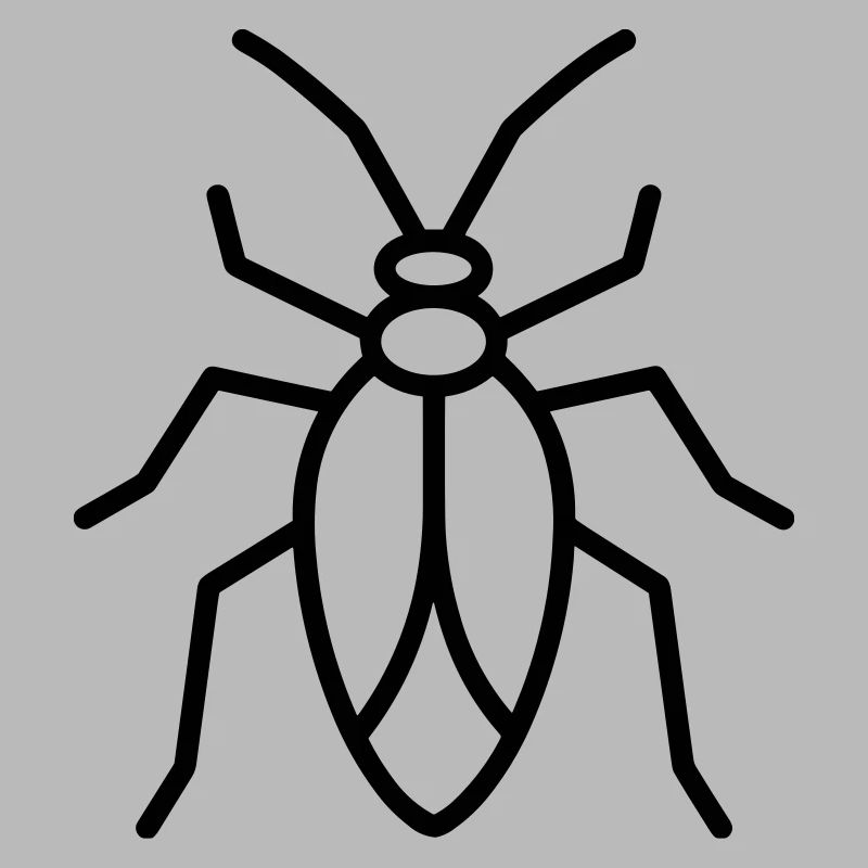Aphid