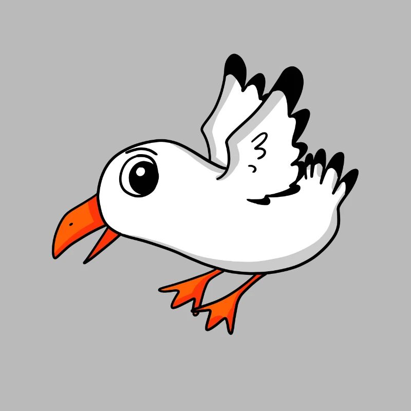 Oiseau mouette