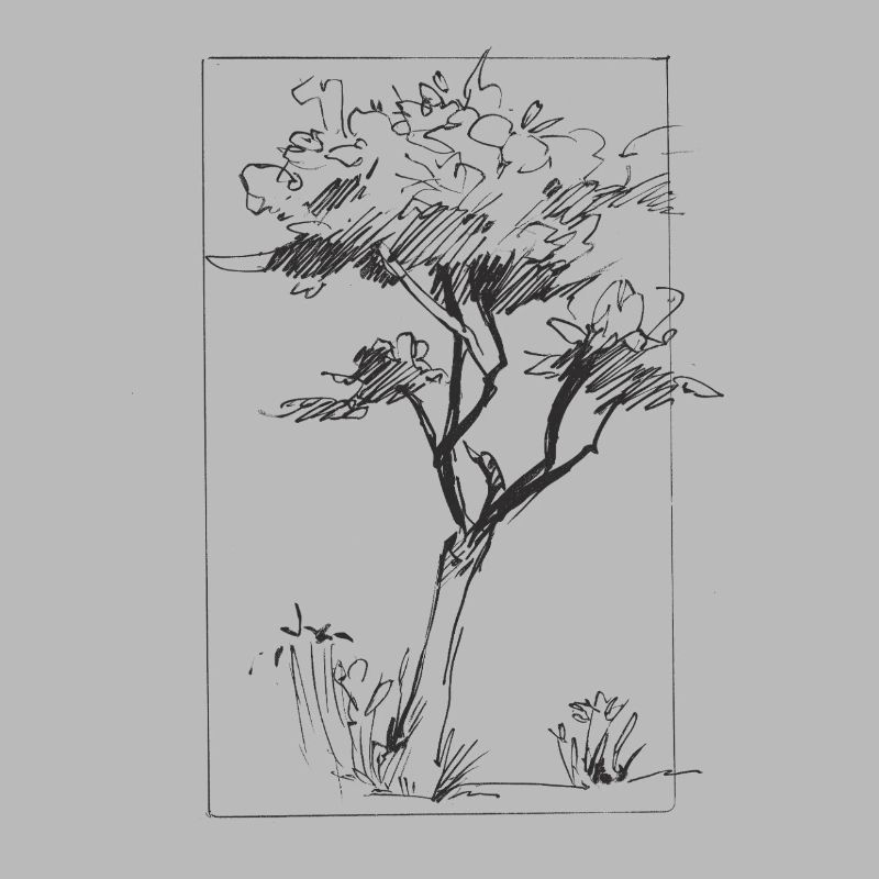 Tree sketch