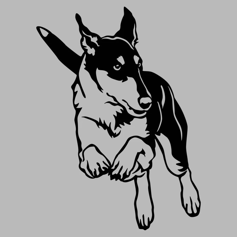 Collie