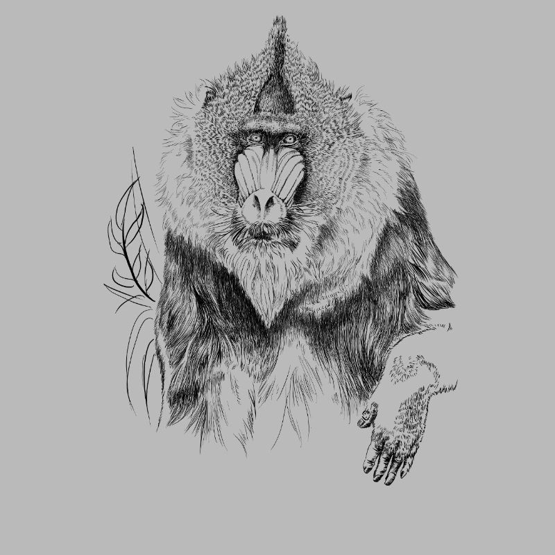 Mandrill 