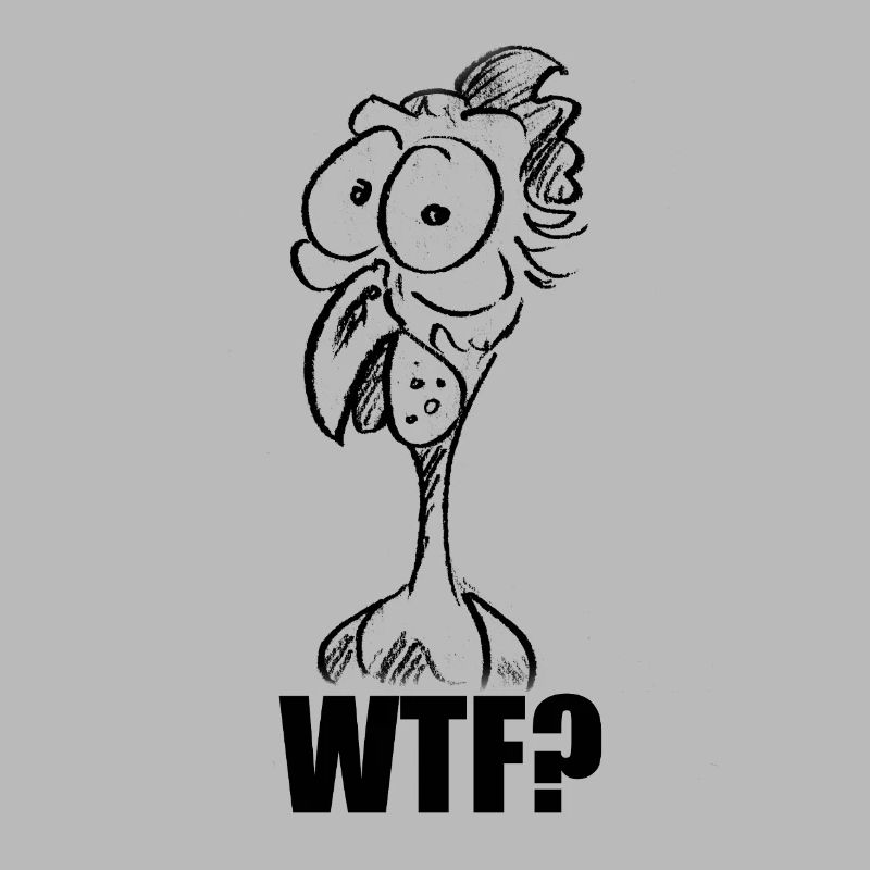 C’est quoi ce bordel ? Chicken Head - Mème comique drôle