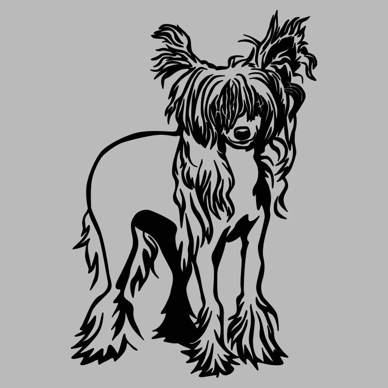 Chien chinois à crête
