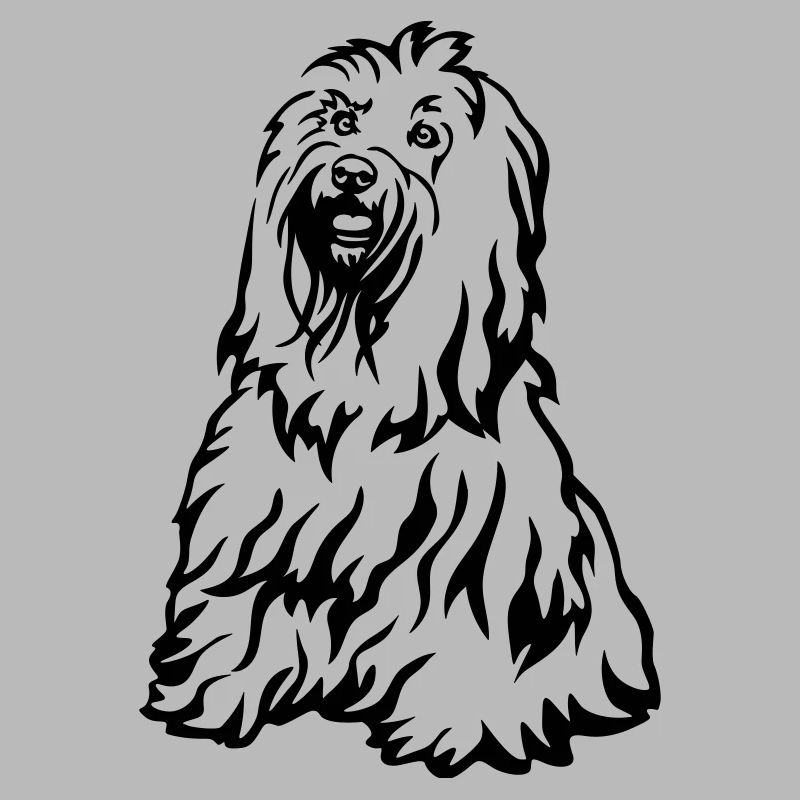 Tibet Terrier
