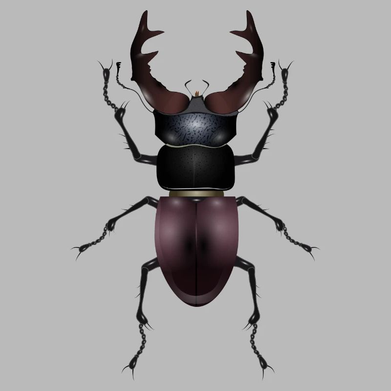 magnificent stag drawn by hand