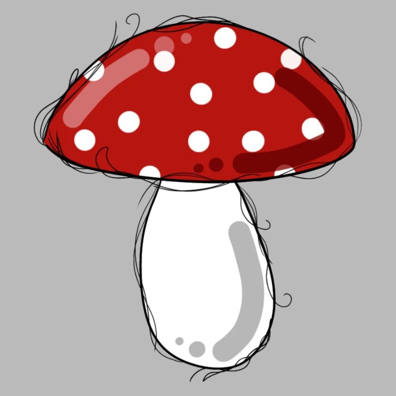 Fly agaric