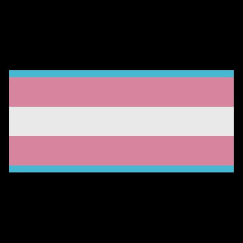 Trans-Flagge