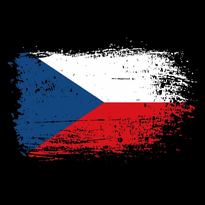 Czech Flag Brush Splash