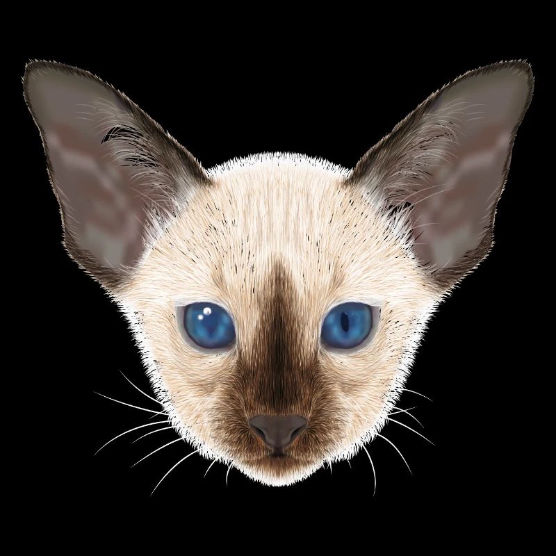 Siamkatze