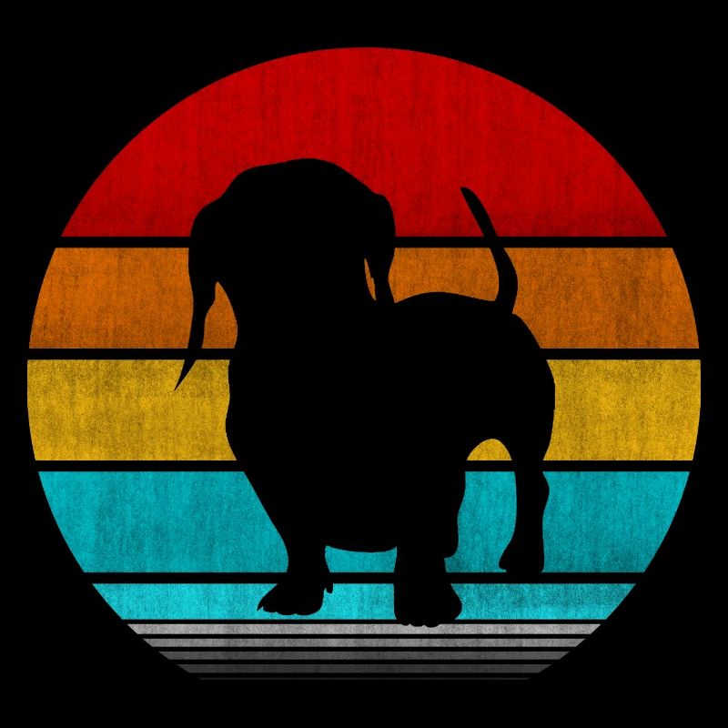 dachshund