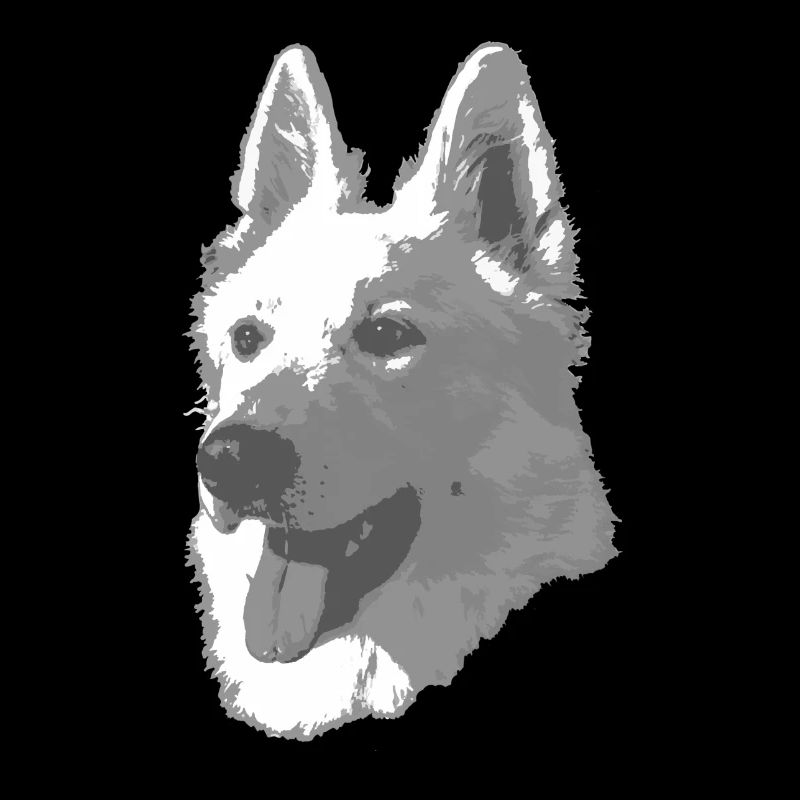 Berger Blanc Suisse