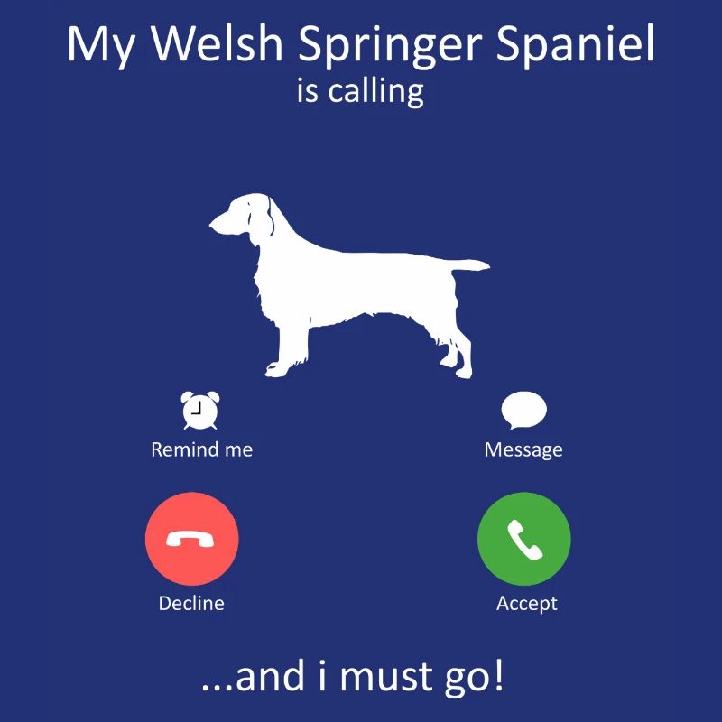 Welsh Springer Spaniel ruft lustigen Hund