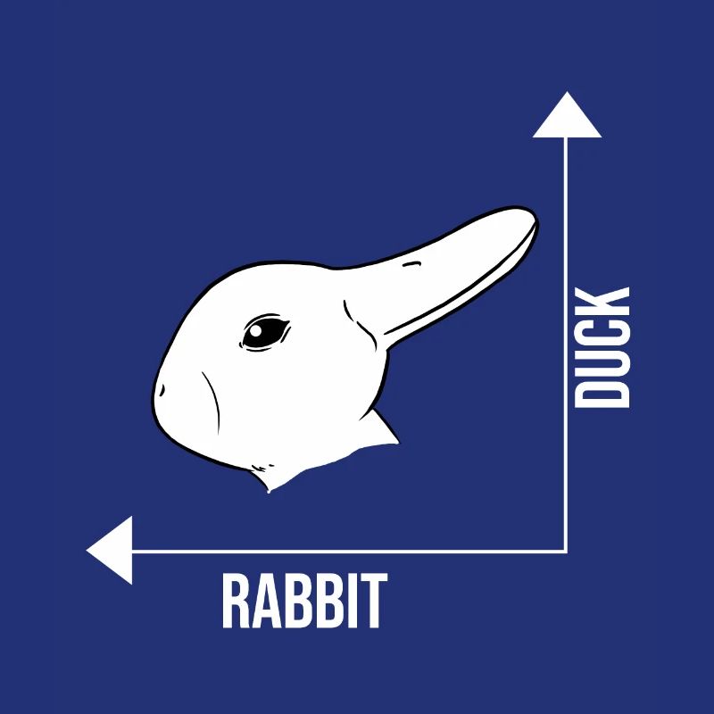 Illusion d'optique lapin canard illusion