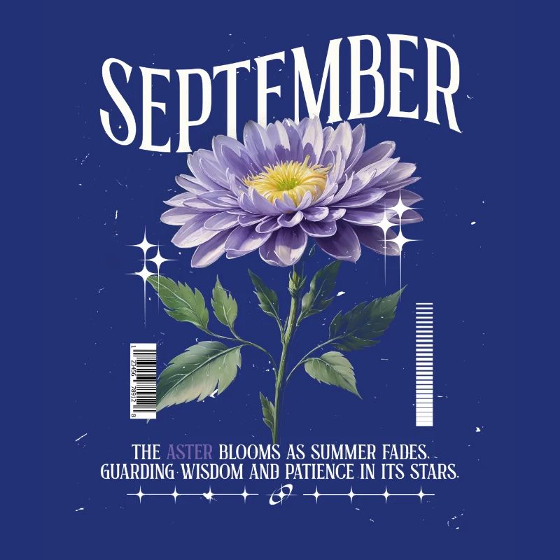 Naissance Fleurs Naissance Fleur Septembre Aster