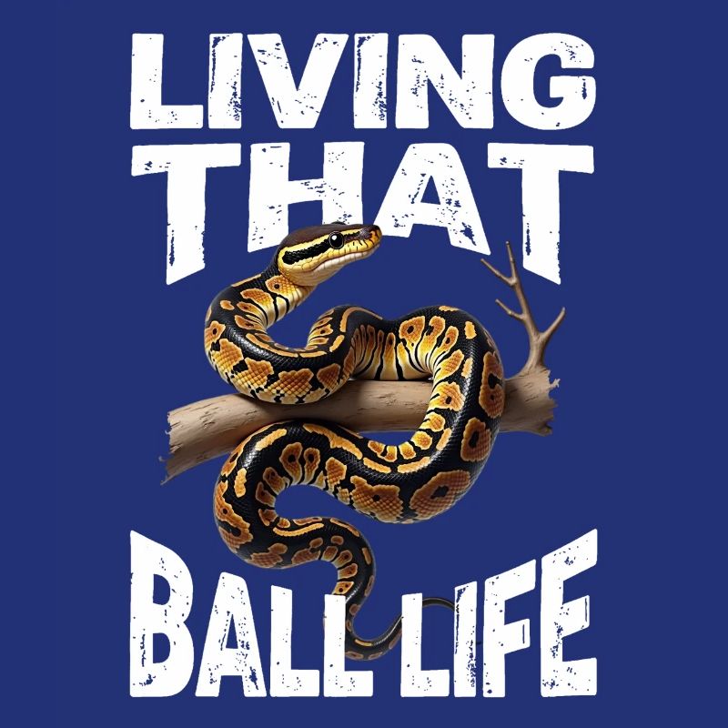 Königspython Schlangen Liebhaber Terrarium Python