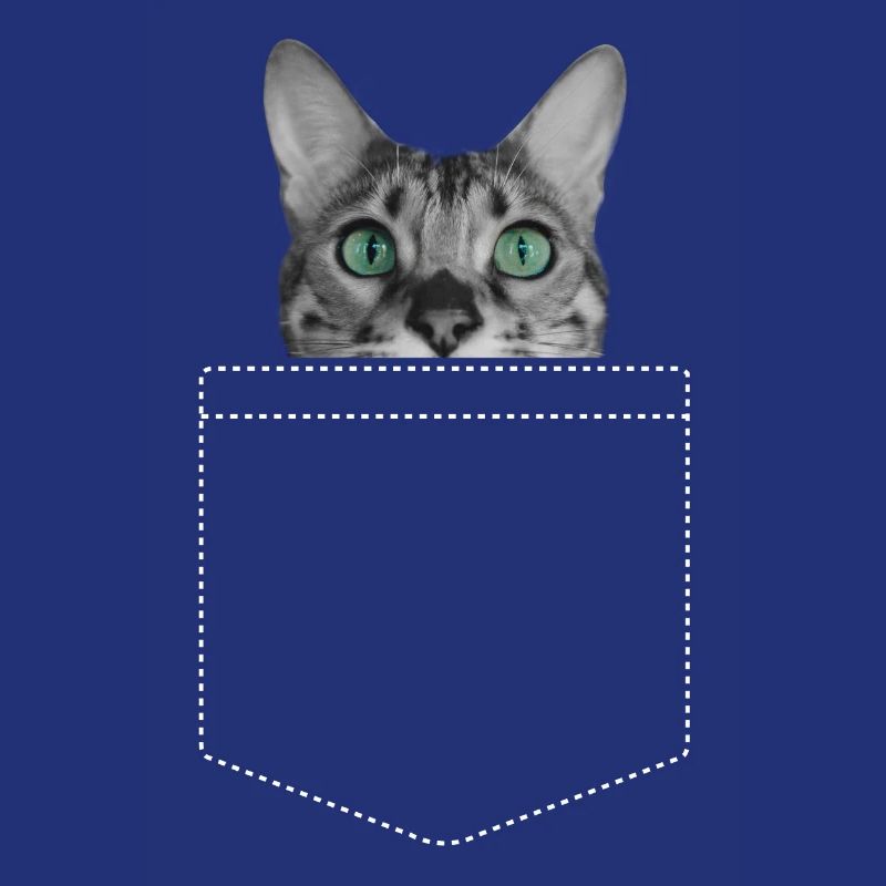 Chat Chats